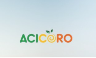 ACI Co-Ro Bangladesh Limited